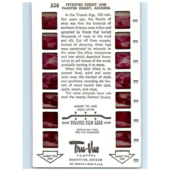 Vintage Tru Vue Tru-Vue Film Card Petrified Forest Painted Desert Arizona 328 3D - Picture 1 of 4